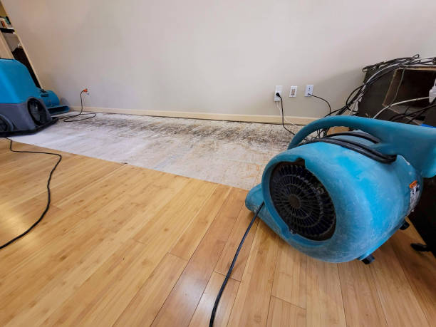Reliable Basement Flood Cleanup contractor in Rapid City, SD by Hirex Water Damage