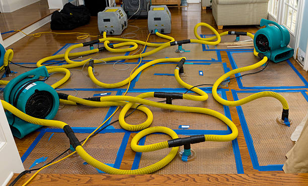 Professional Basement Flood Cleanup technician working in Rapid City, SD